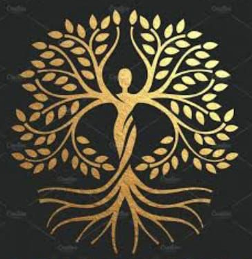 Heaven Ayurvedic Massage Palakkad
